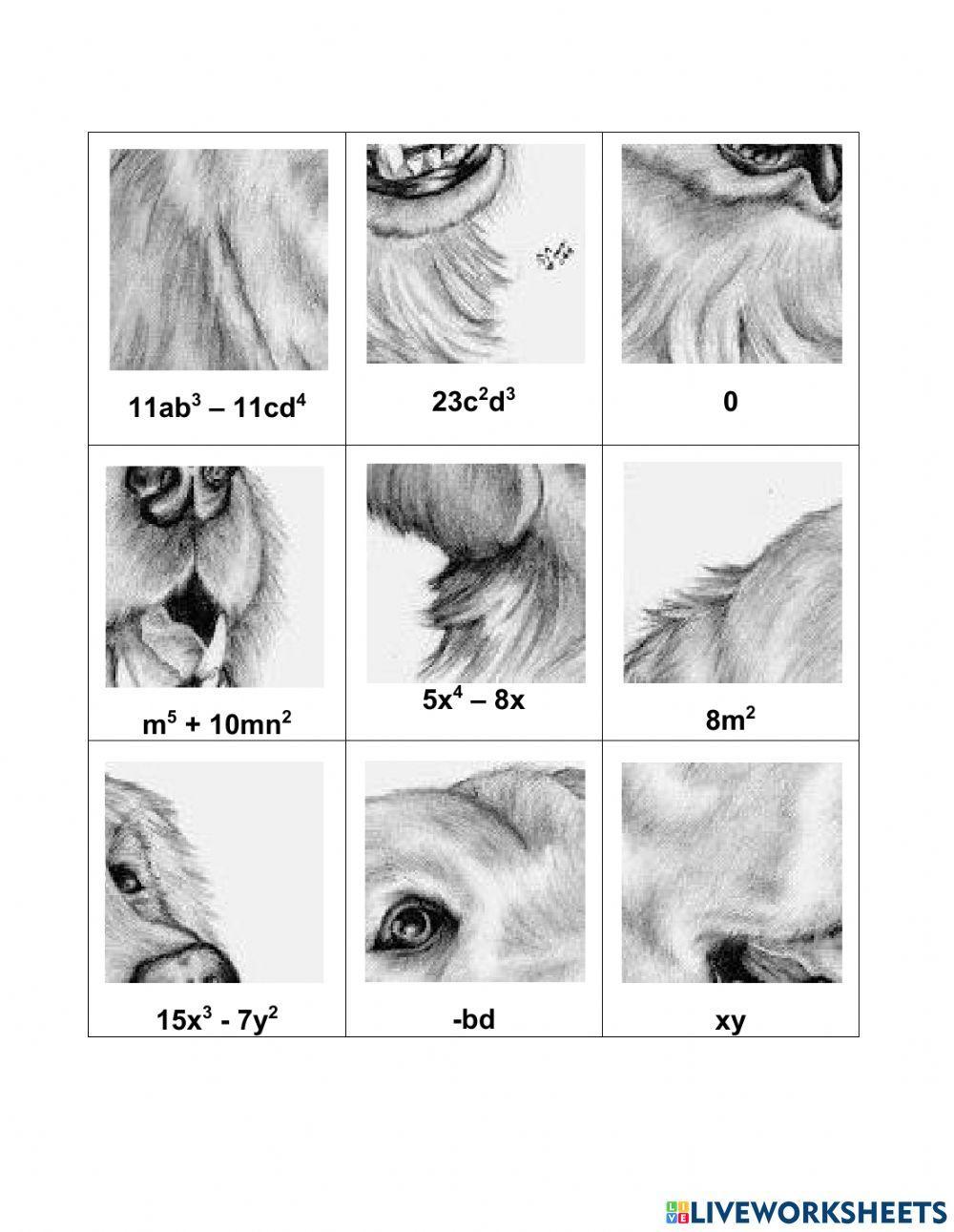 Suma y resta algebraica