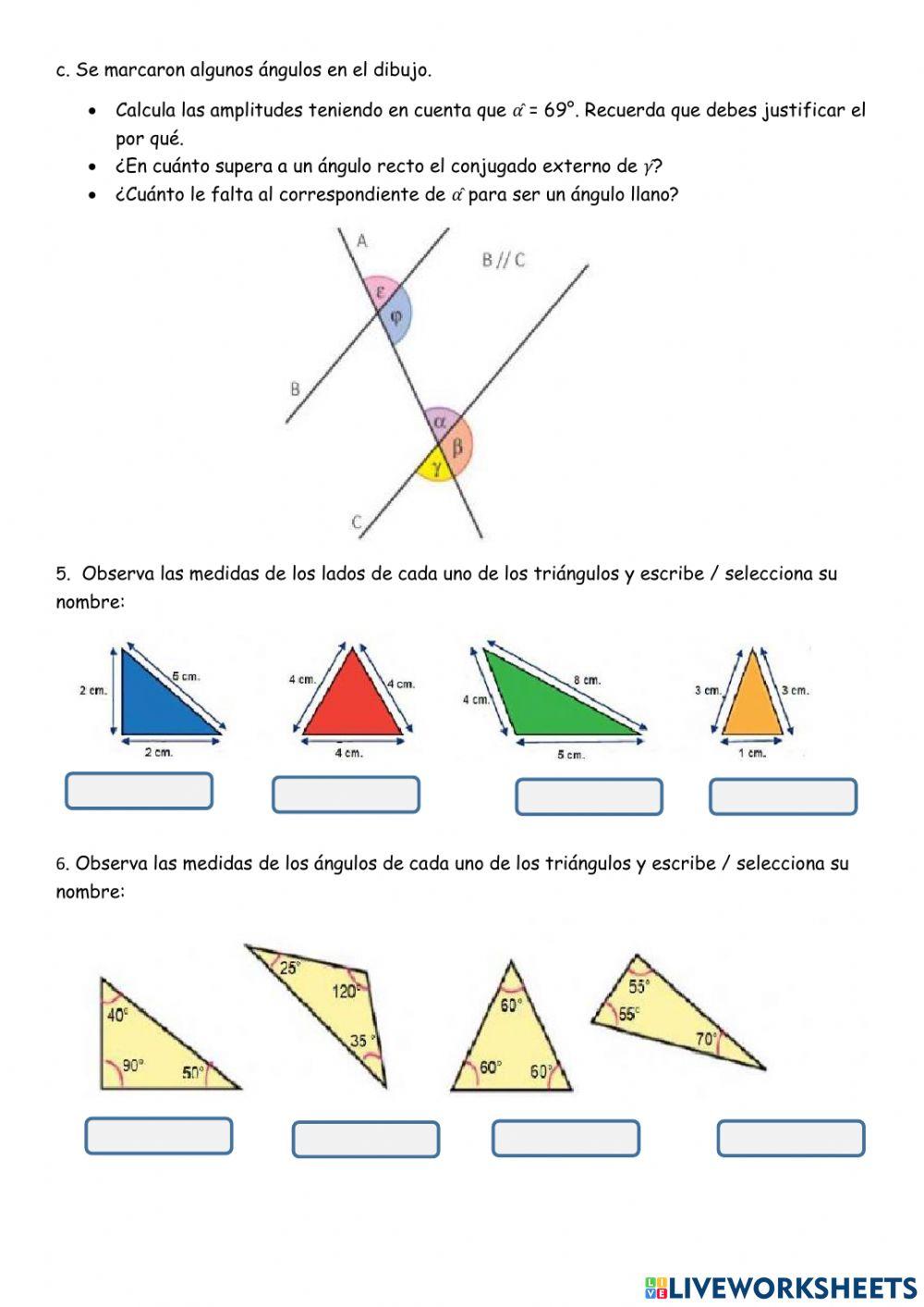 Trabajo practico integrador de 1° año