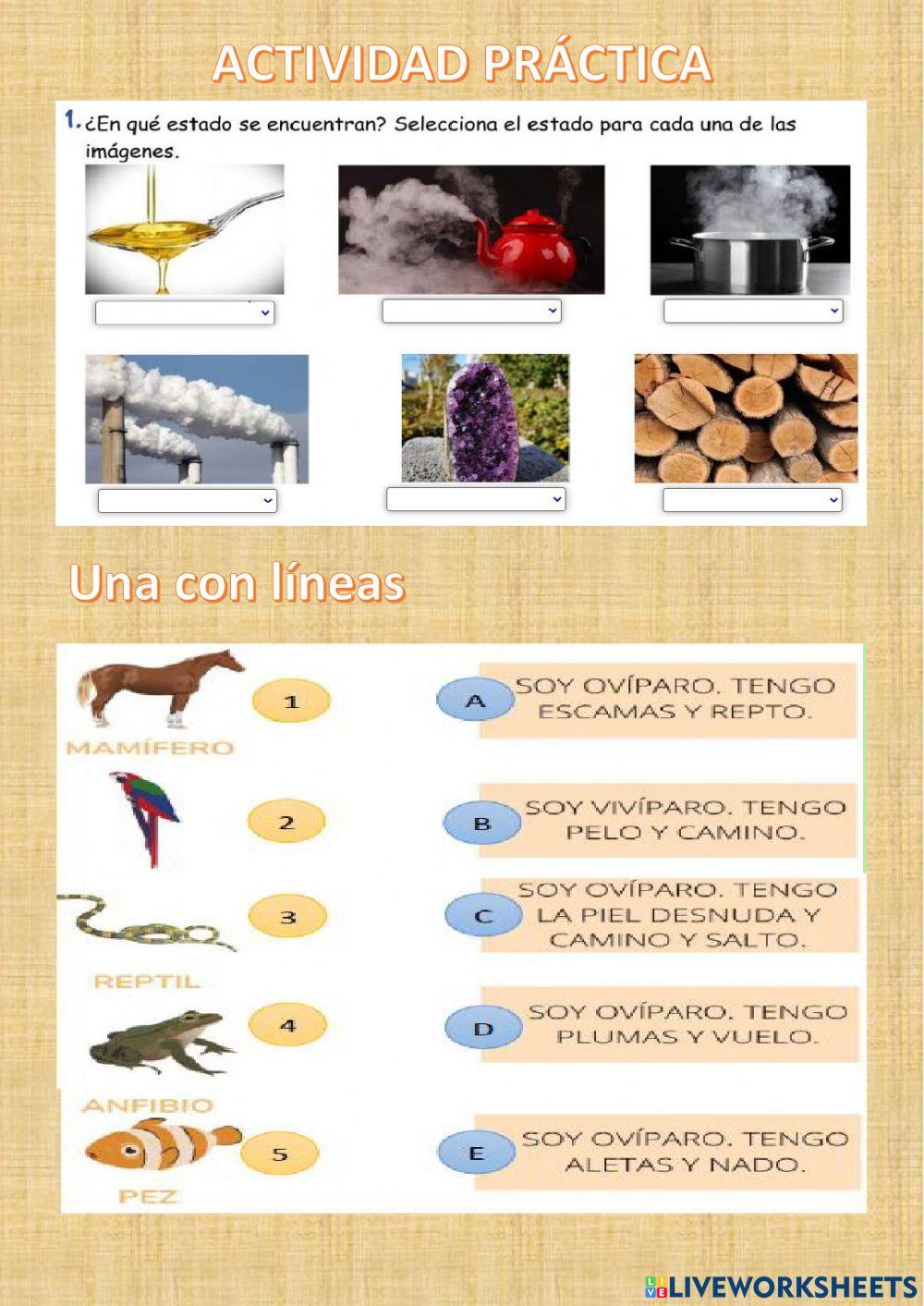 Estados de la materia