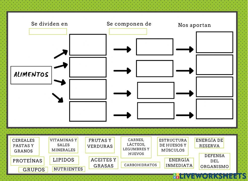 Clasificación de los alimentos