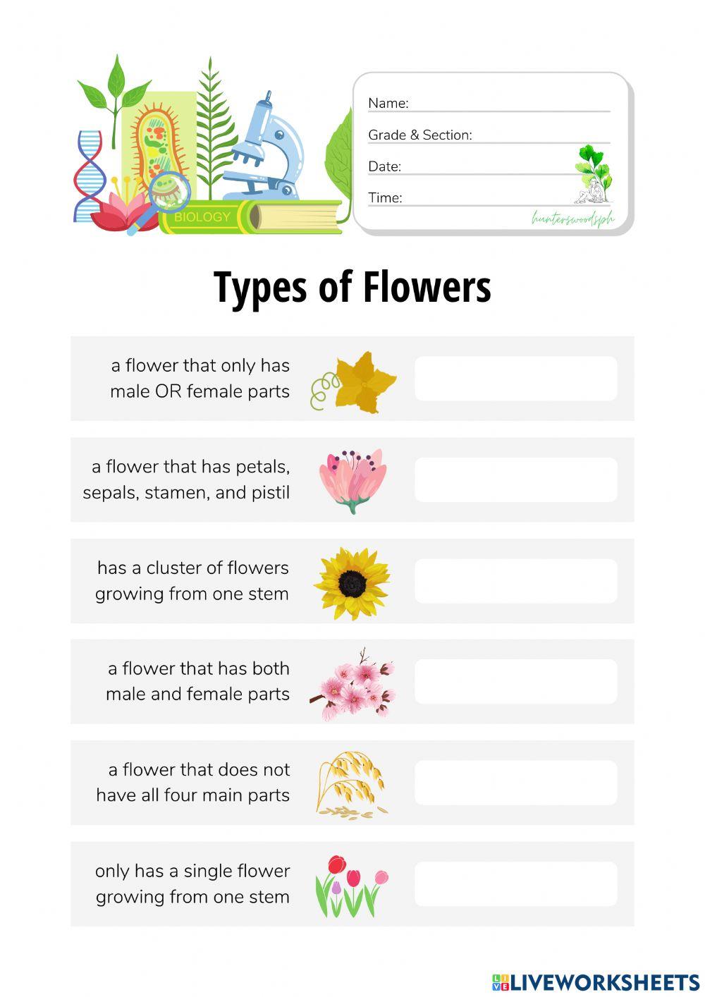 Types of Flowers - HuntersWoodsPH Biology