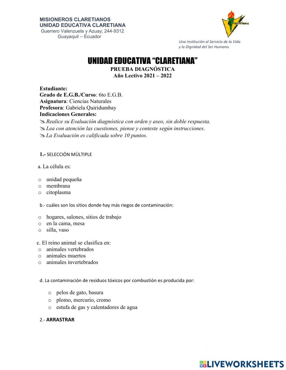 Prueba de diagnostico