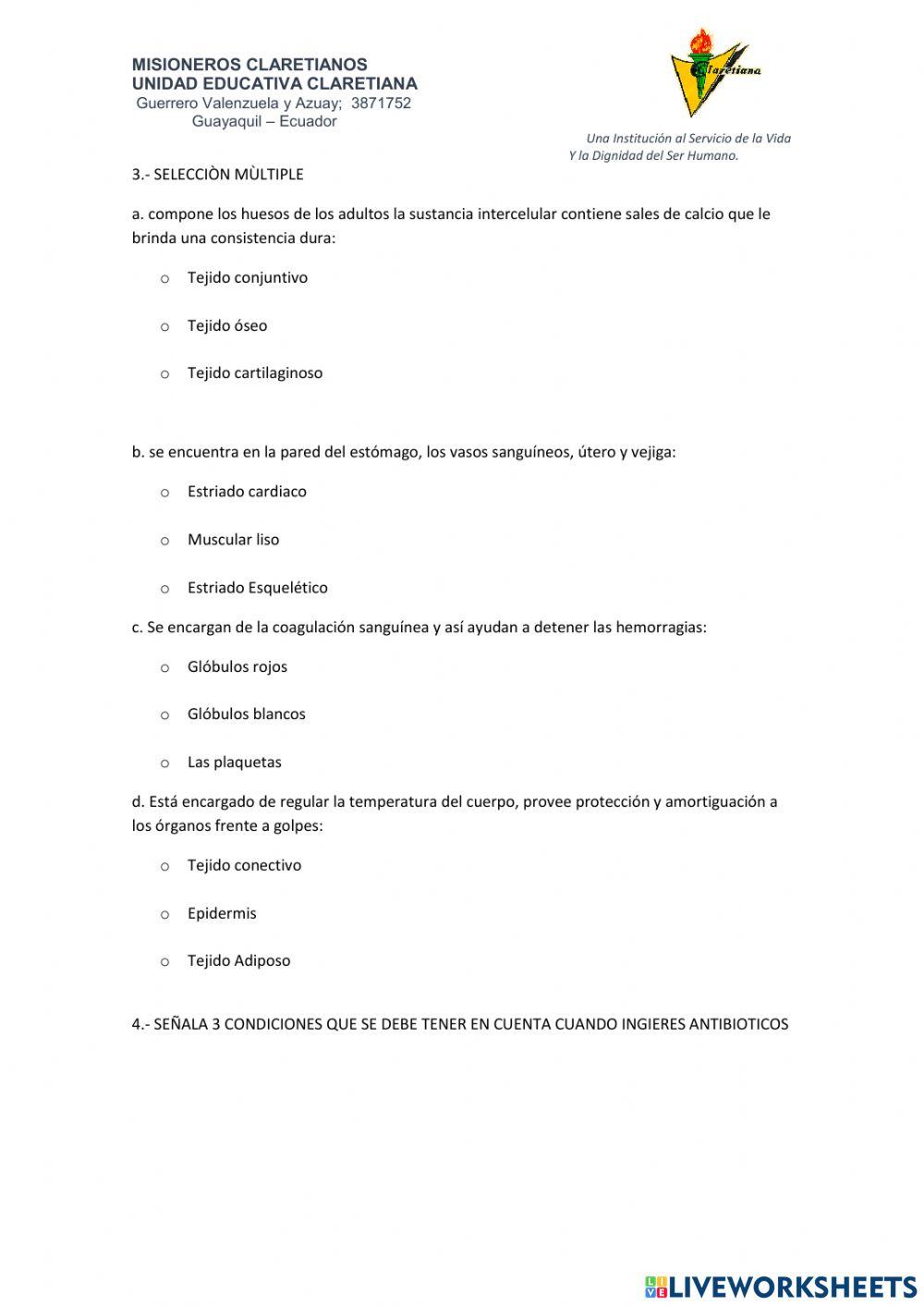 Prueba de diagnostico