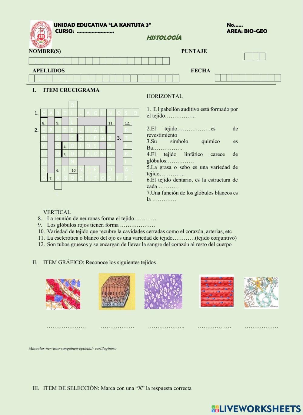 HISTOLOGIA 5º