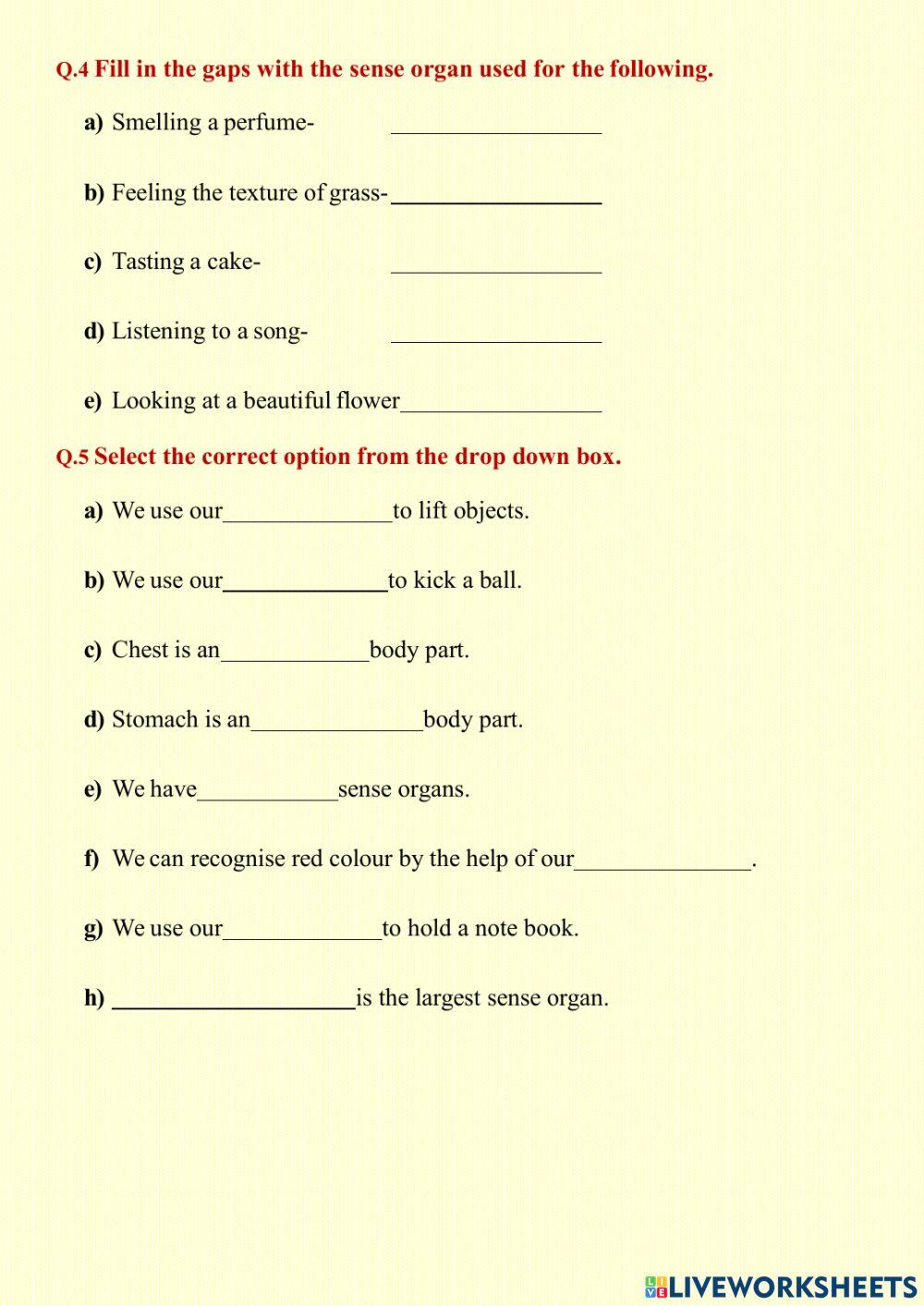 Body parts worksheet