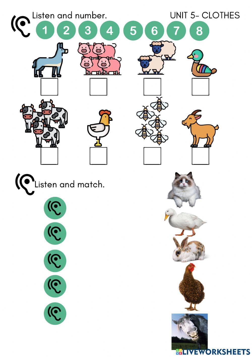 Listening: Animals and descriptions