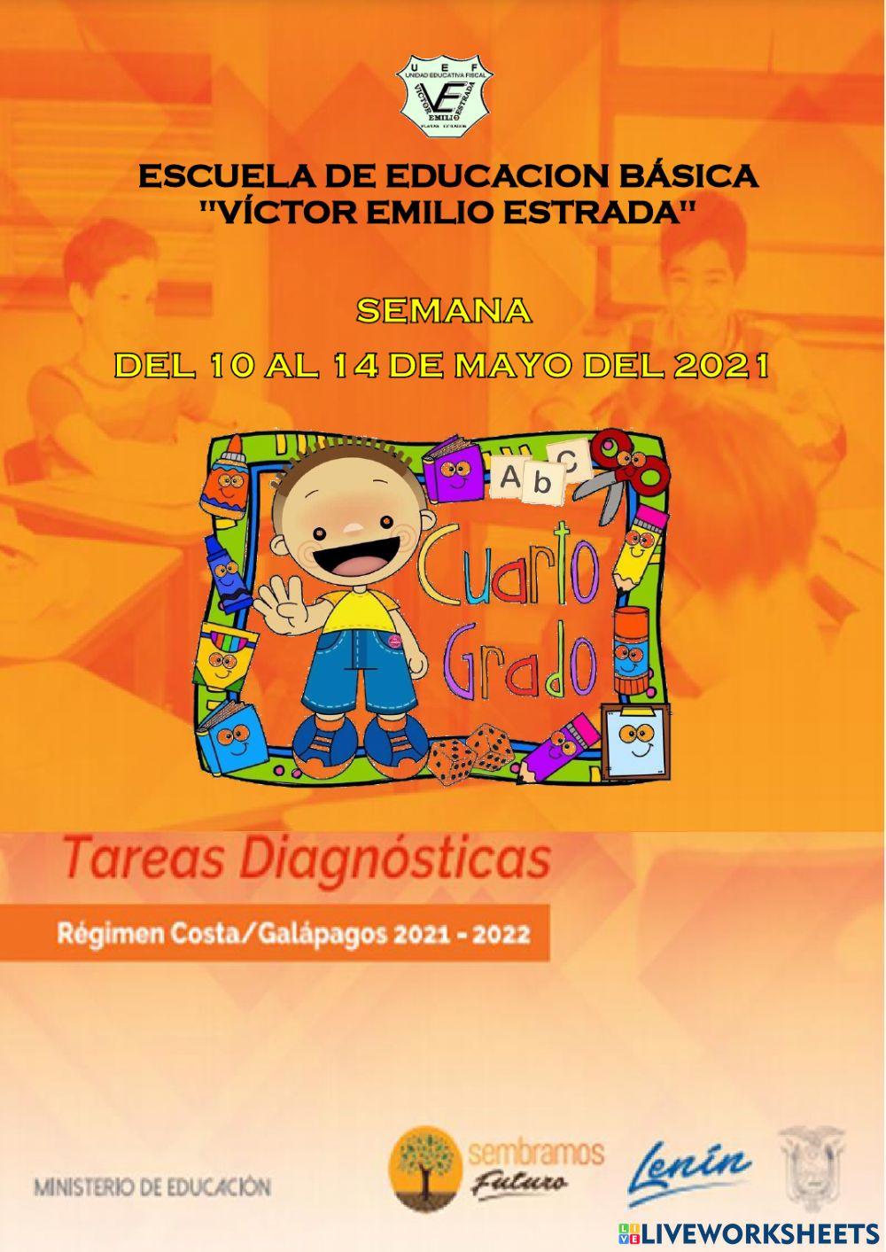 Tarea de diagnostico de matemática n°1