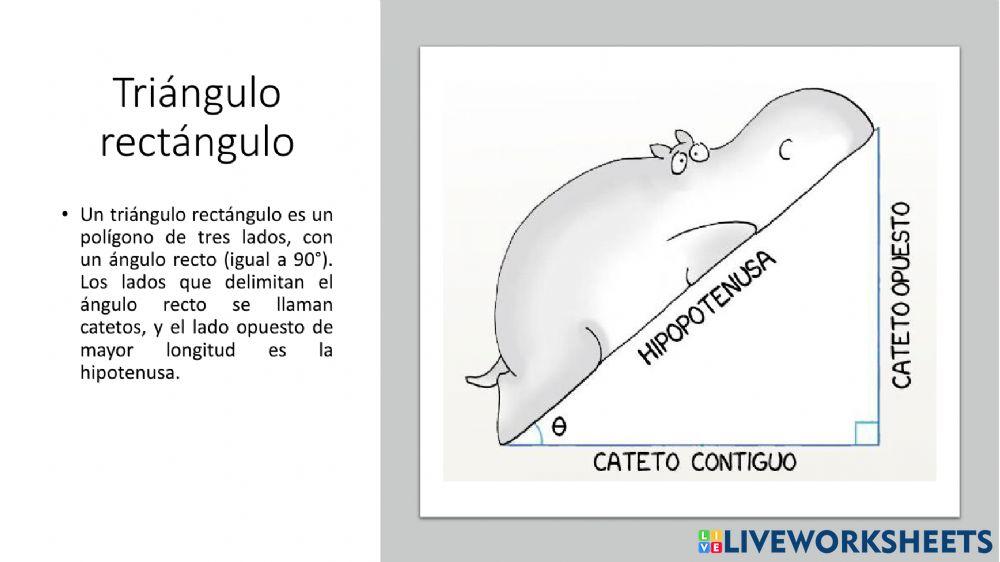 Triángulo Rectángulo