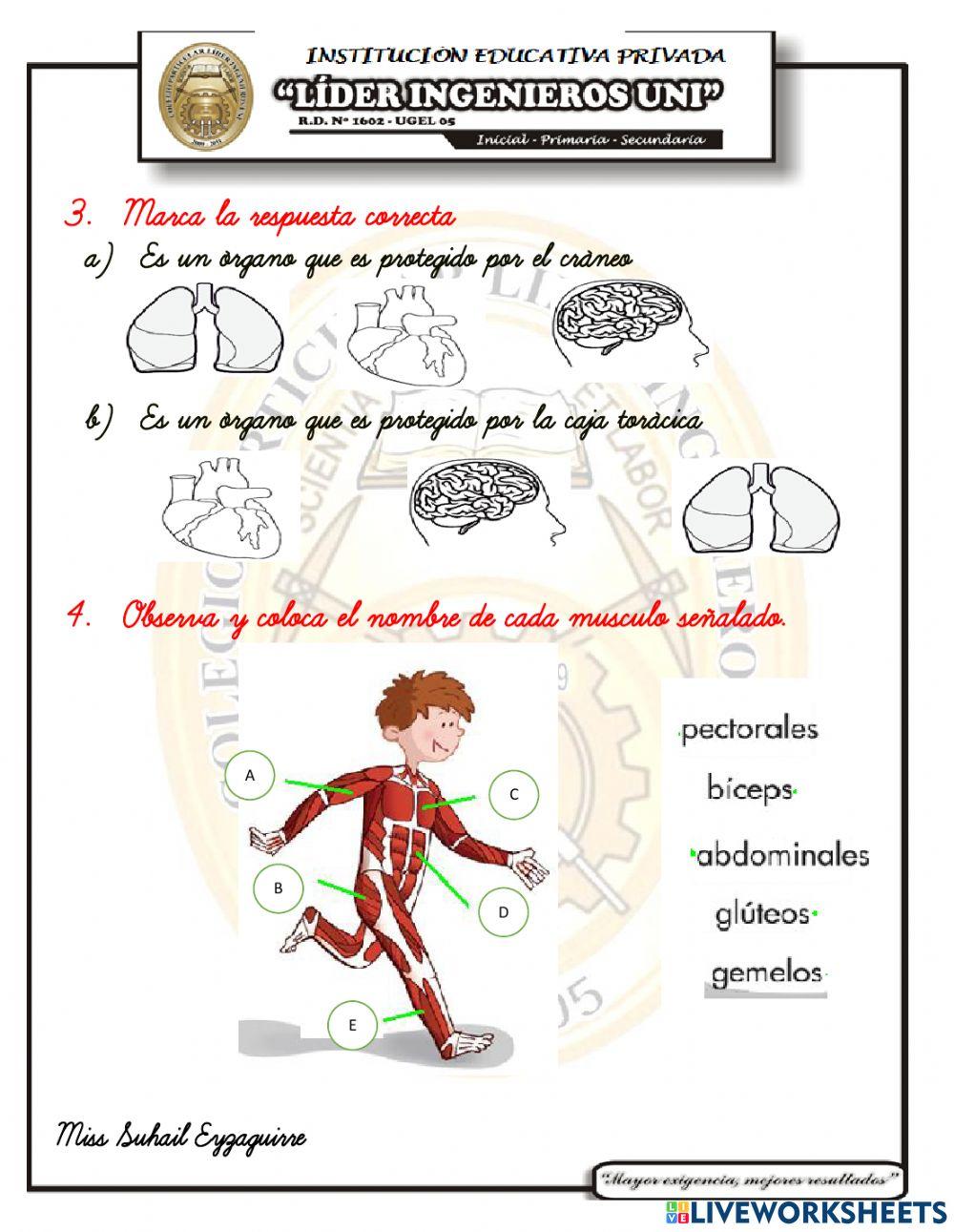 Examen de ciencia II unidad