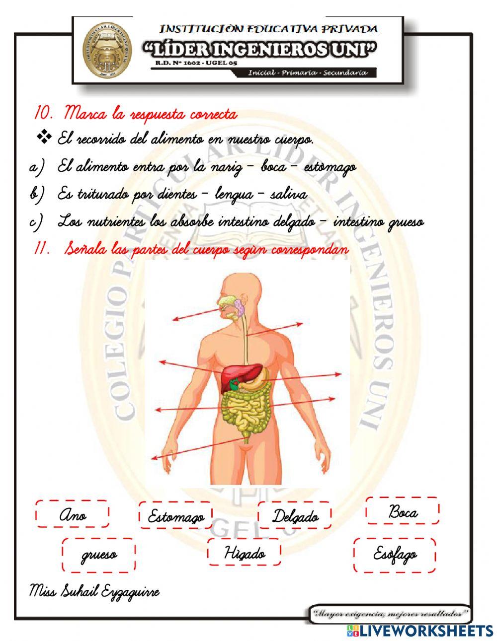 Examen de ciencia II unidad