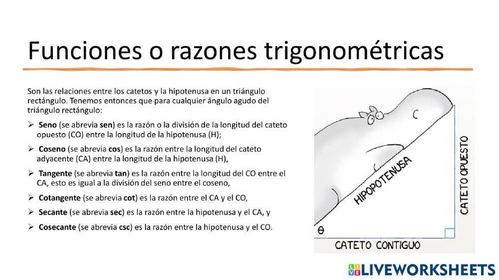 Funciones o razones Trigonométricas