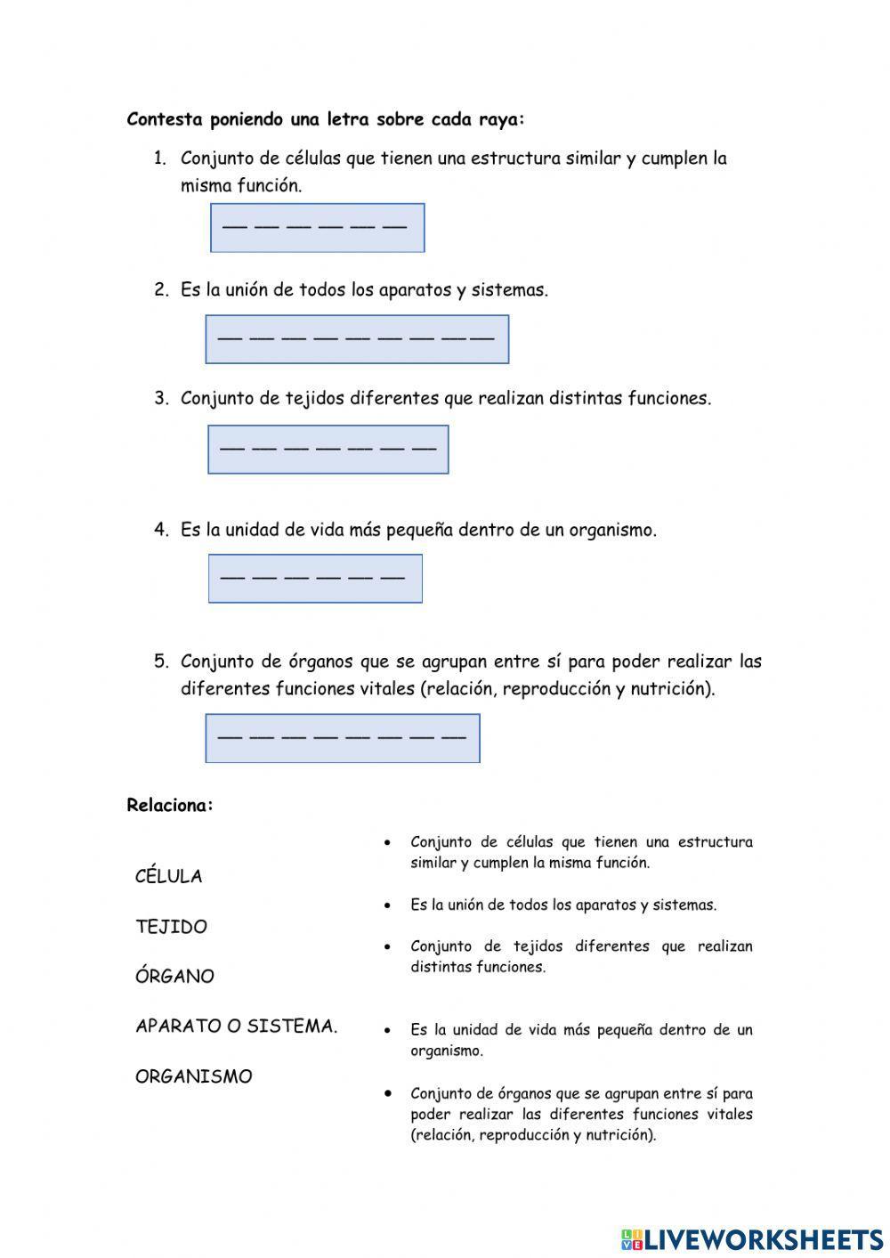 Organiz-ación del cuerpo humano