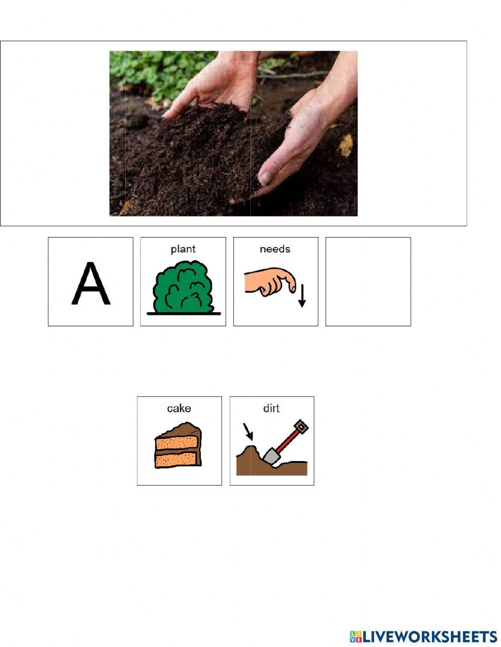 A plant needs A plant needs