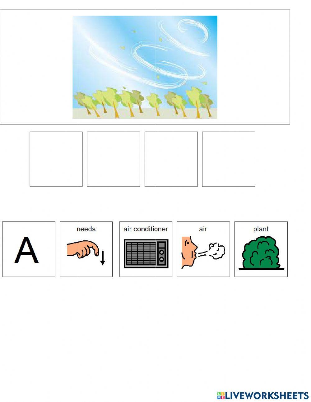 A plant needs A plant needs