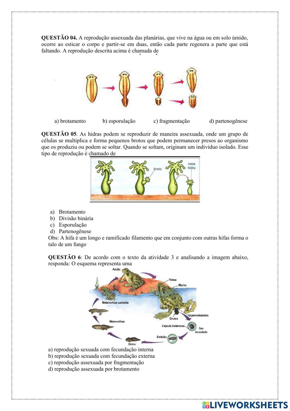 Adolescencia e reprodução