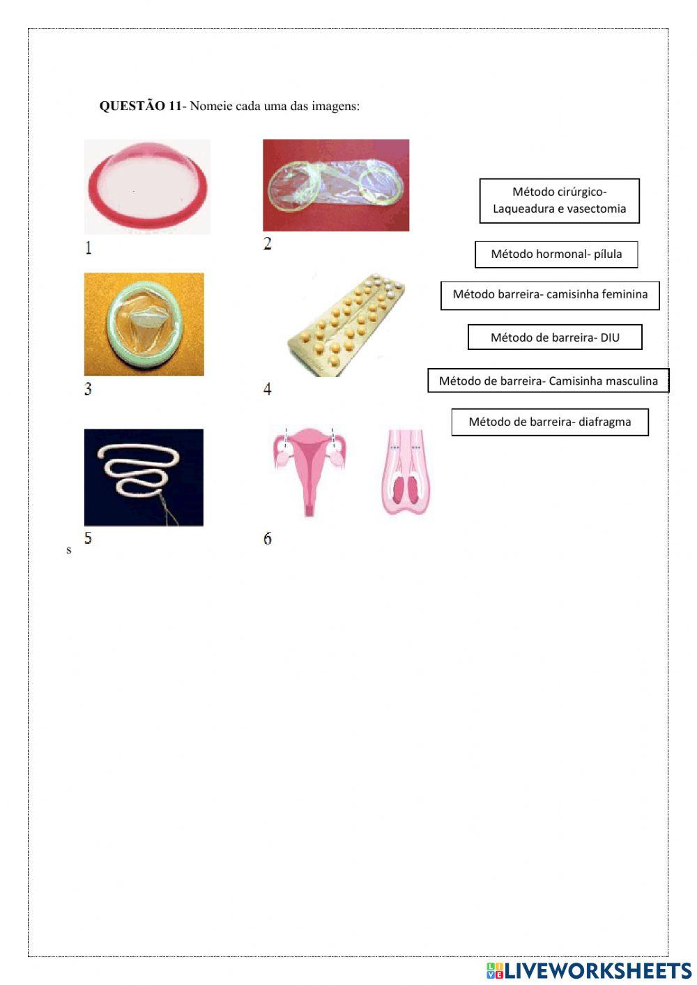 Adolescencia e reprodução