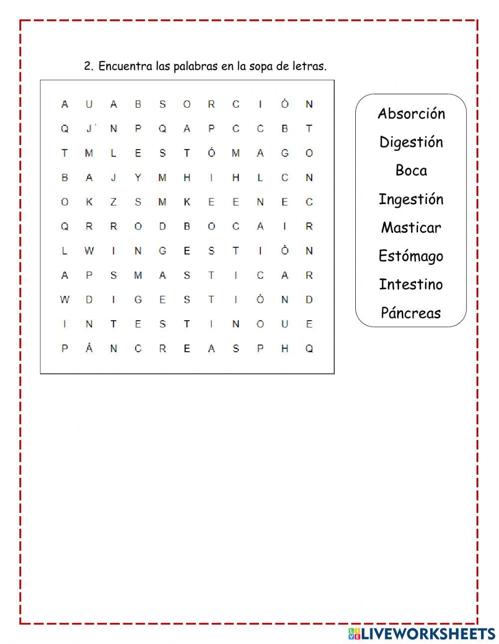 El Sistema digestivo