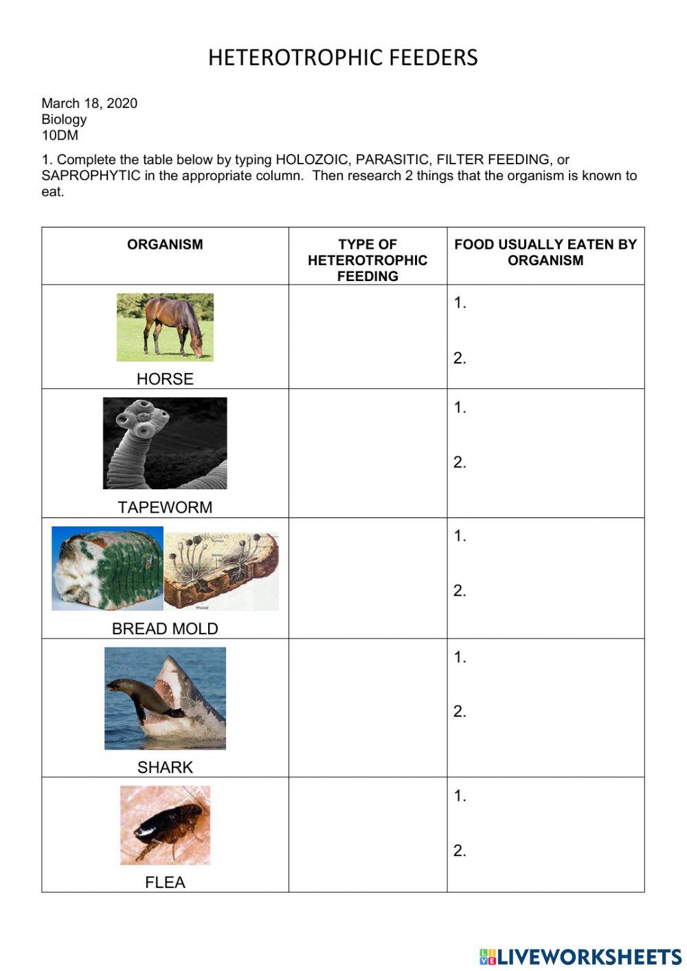 Heterotrophic Nutrition 2021