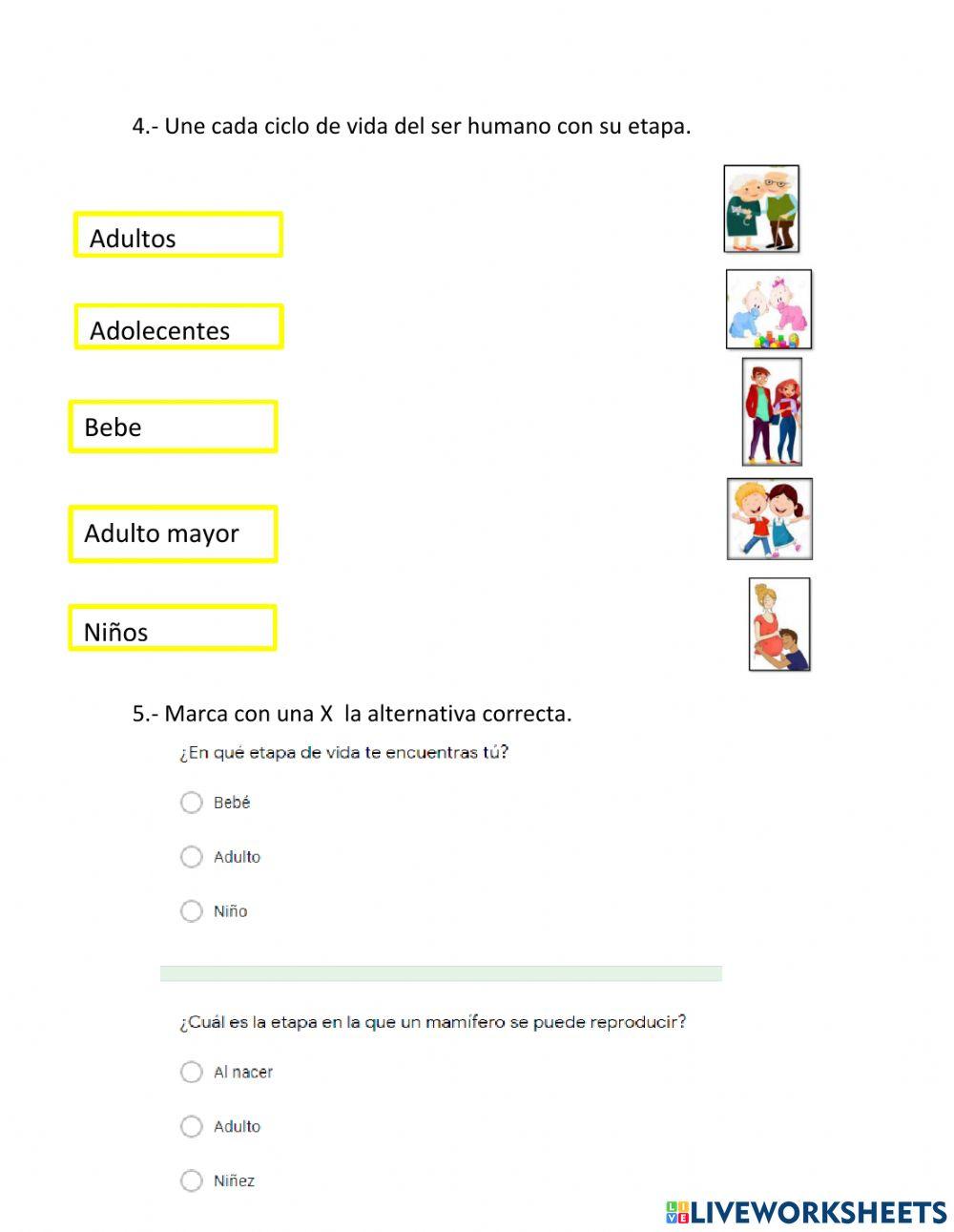 Ciclo de vida de los animales