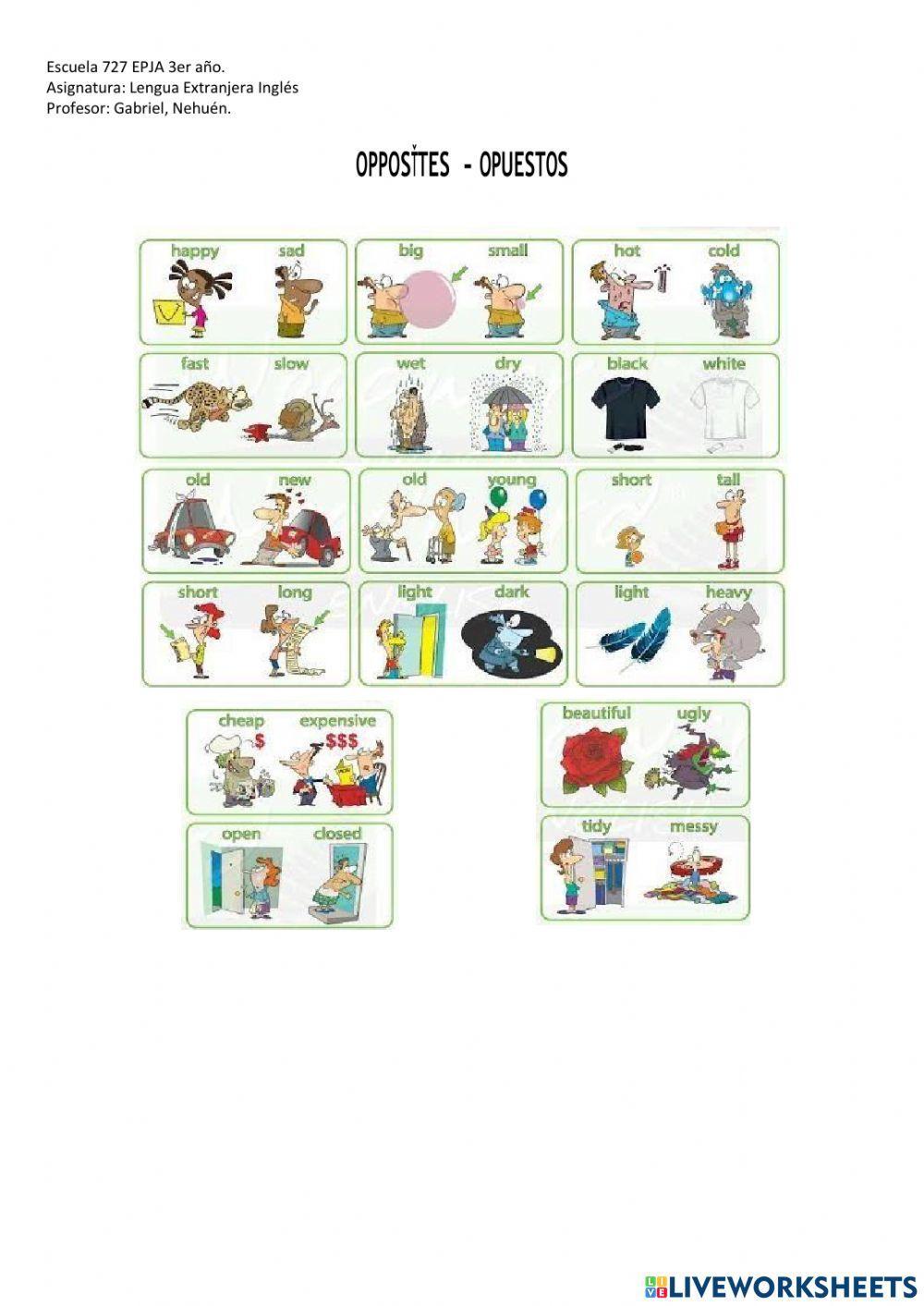 Actividad N°2 3° Año EPJA 727 Inglés