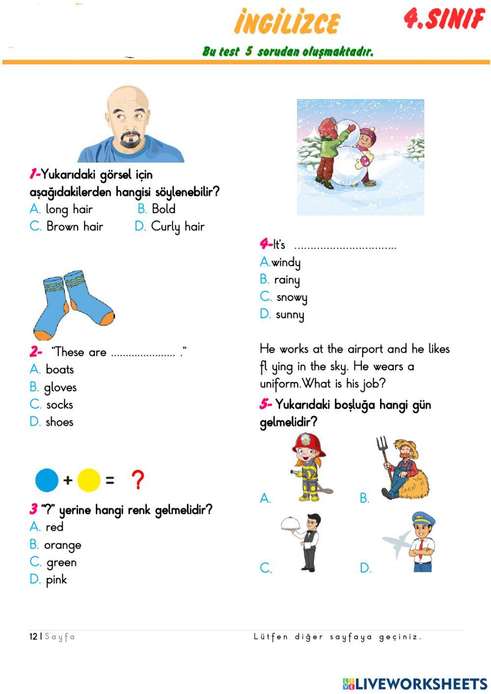 4.sınıflar deneme sınavı sos fen ing