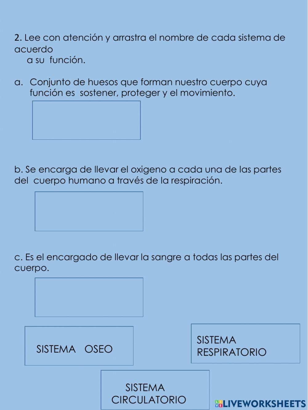 Sistemas del cuerpo humano