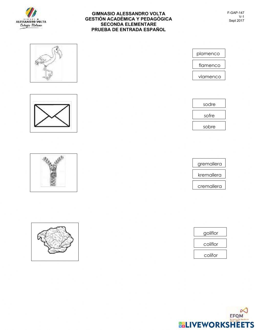 Prueba de entrada español