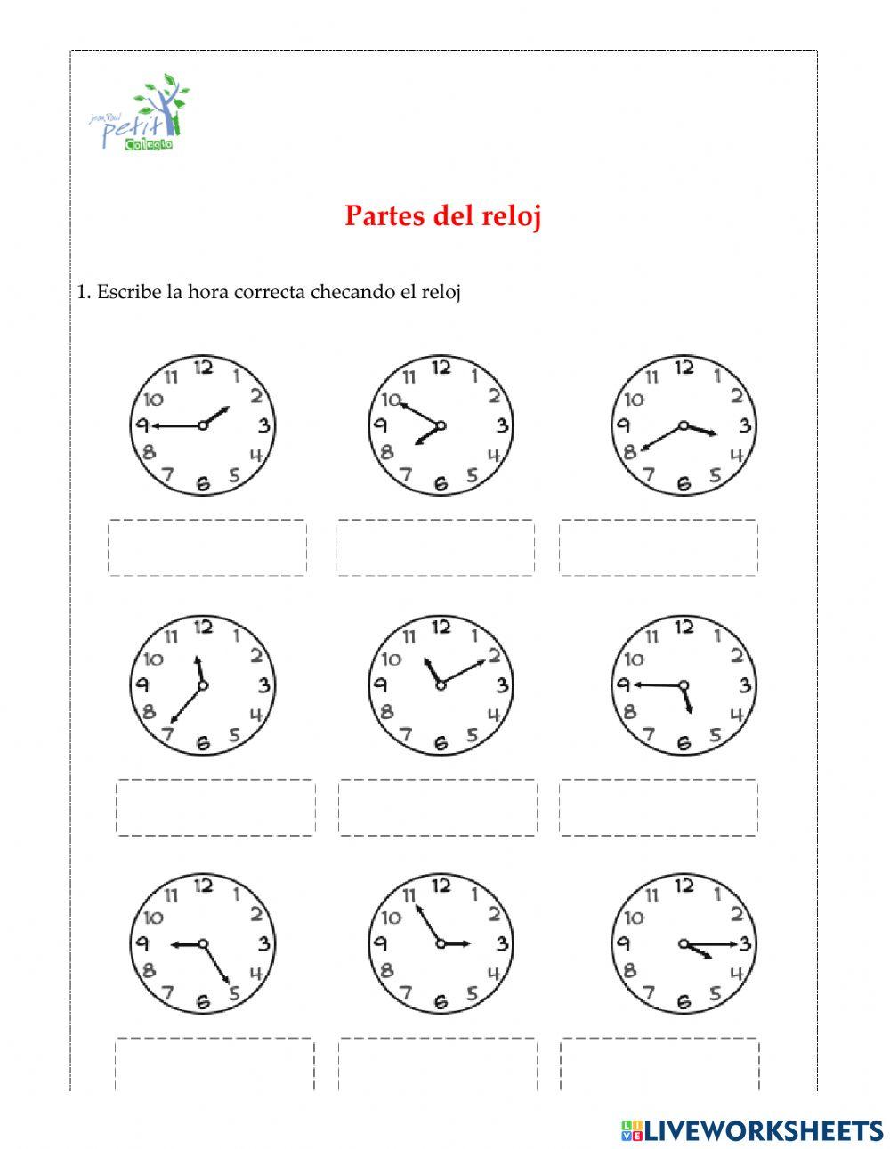 Partes del reloj