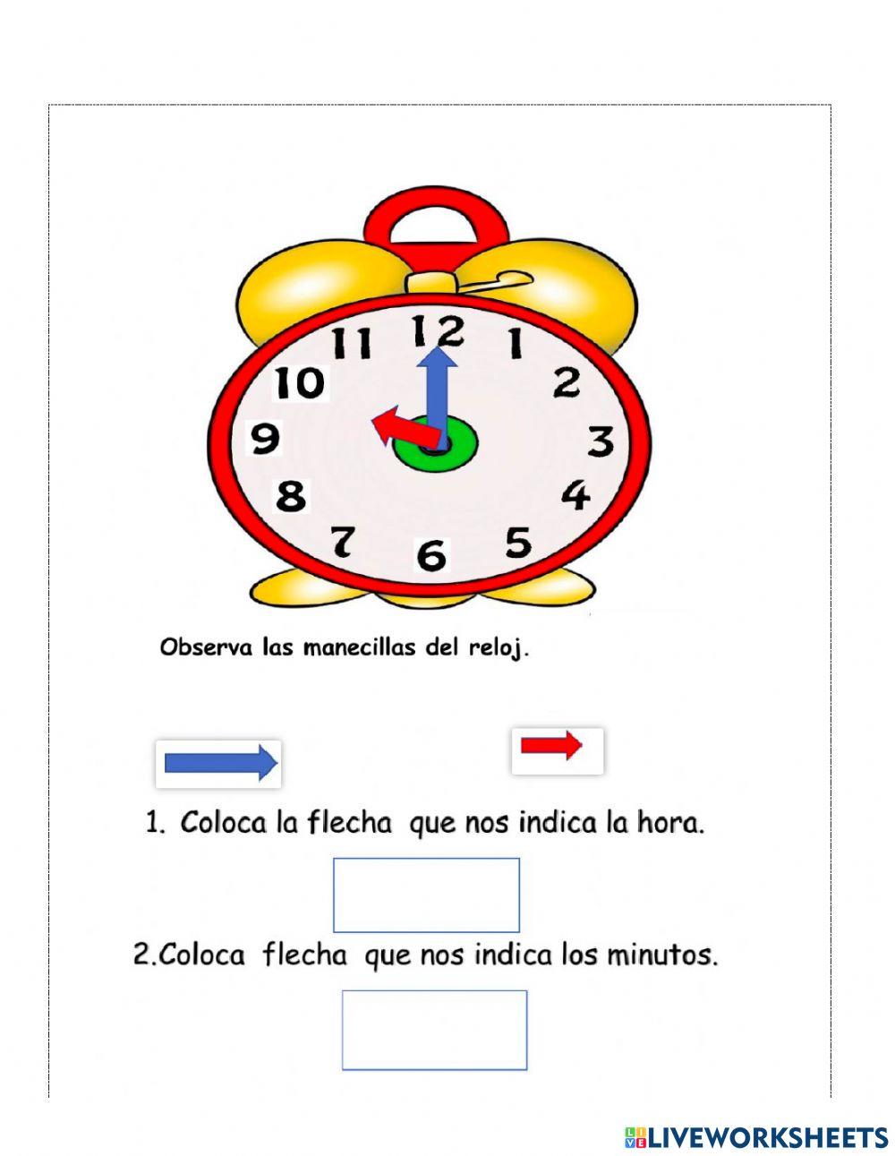 Partes del reloj
