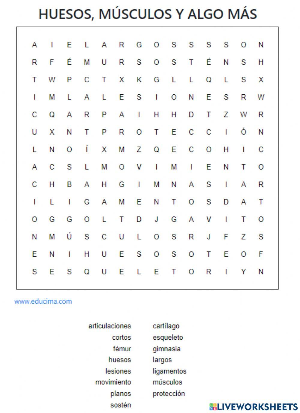 Huesos, músculos y algo más