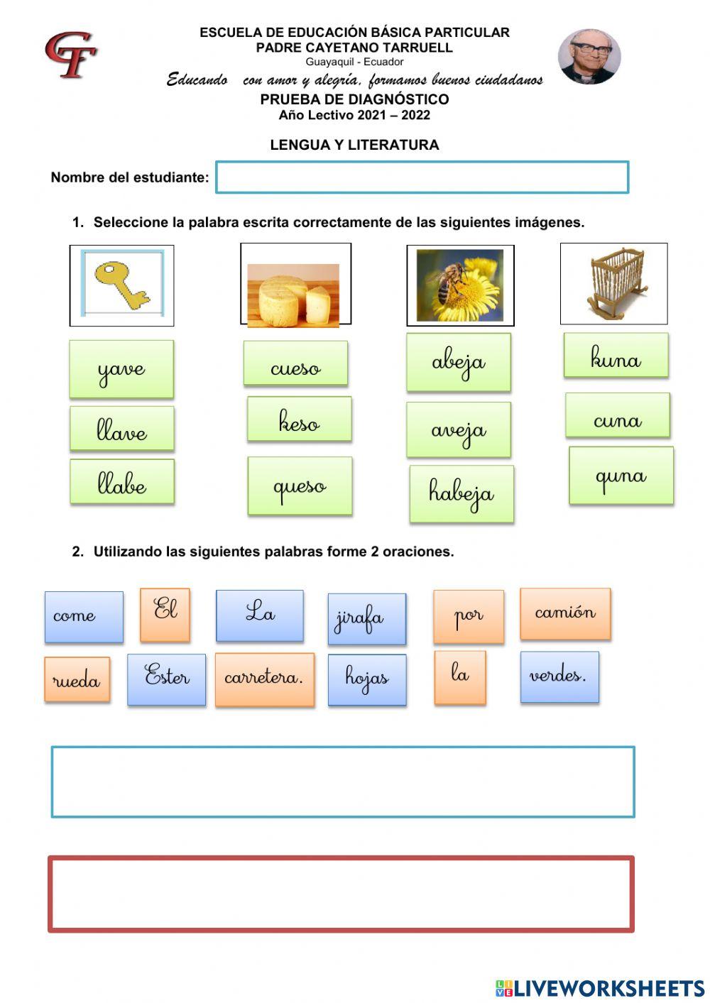 Prueba de diagnóstico