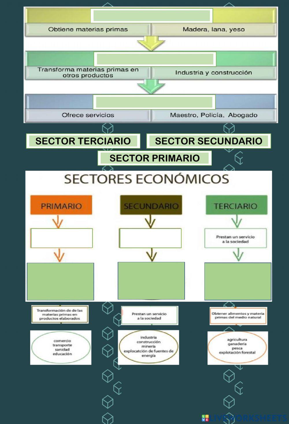 Actividades Productivas