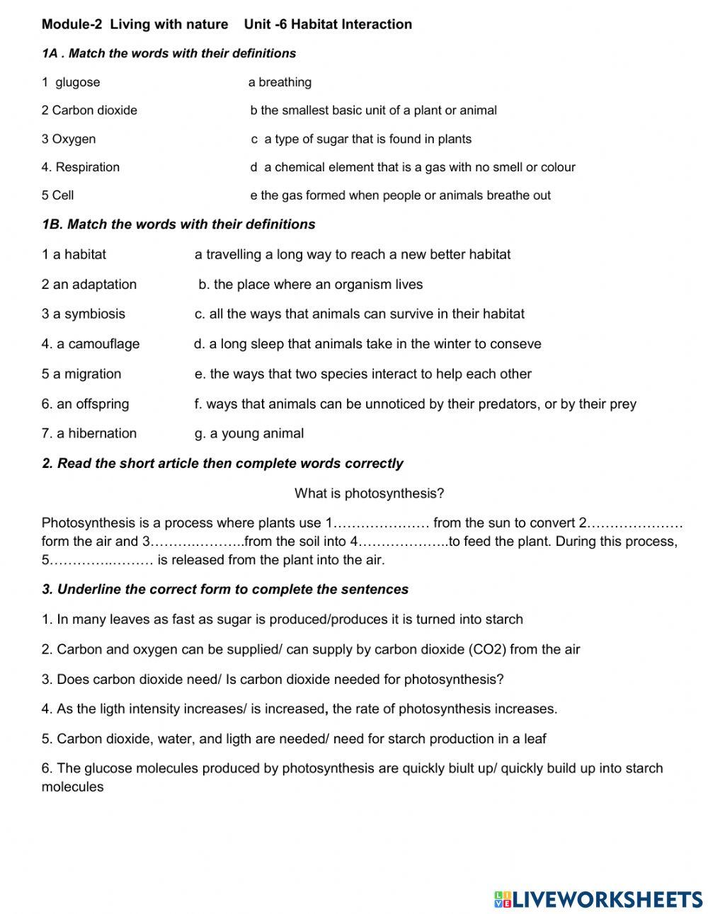 Unit exam for the 11th grade Unit-6