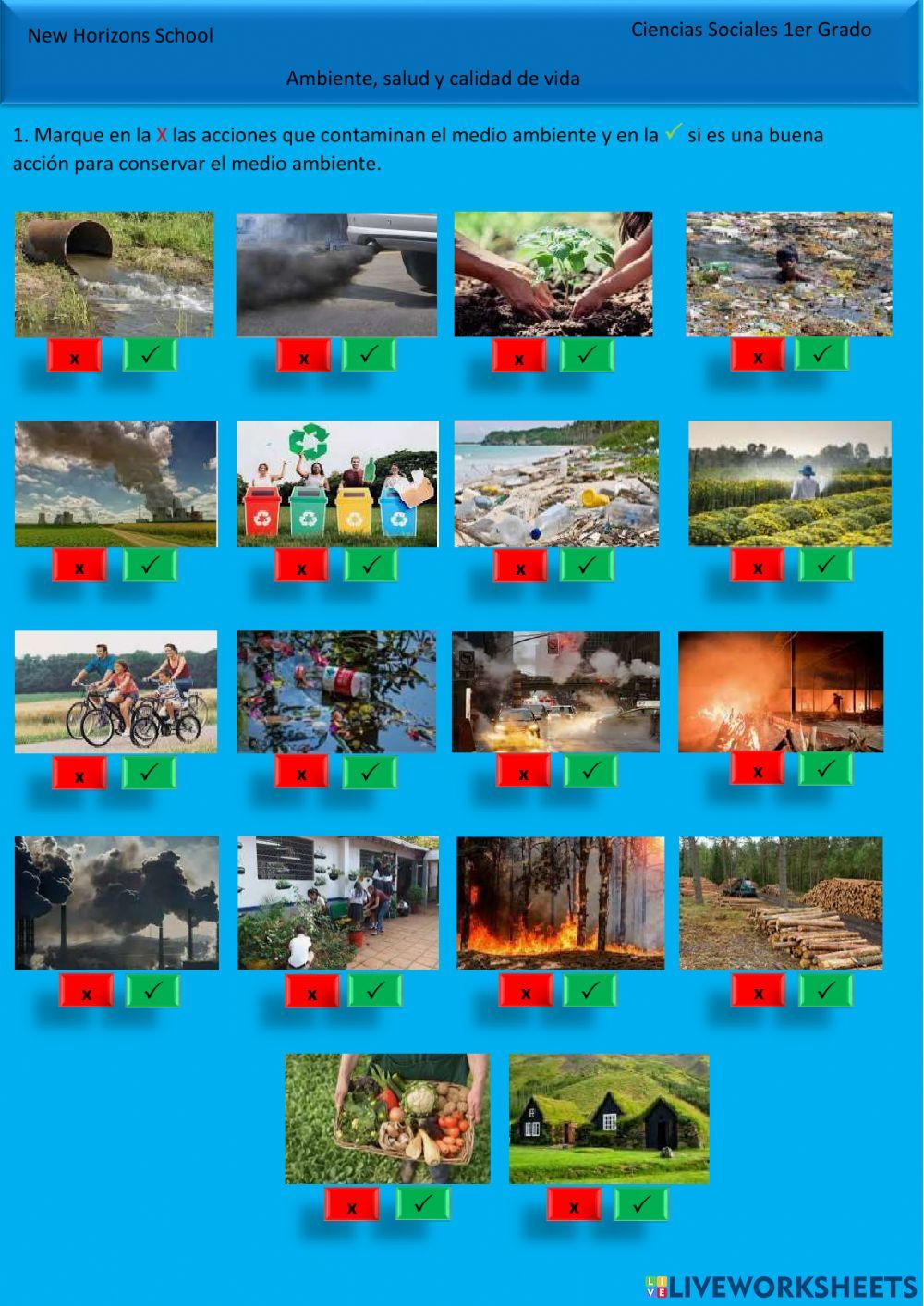 Ambiente, salud y calidad de vida 1er Grado