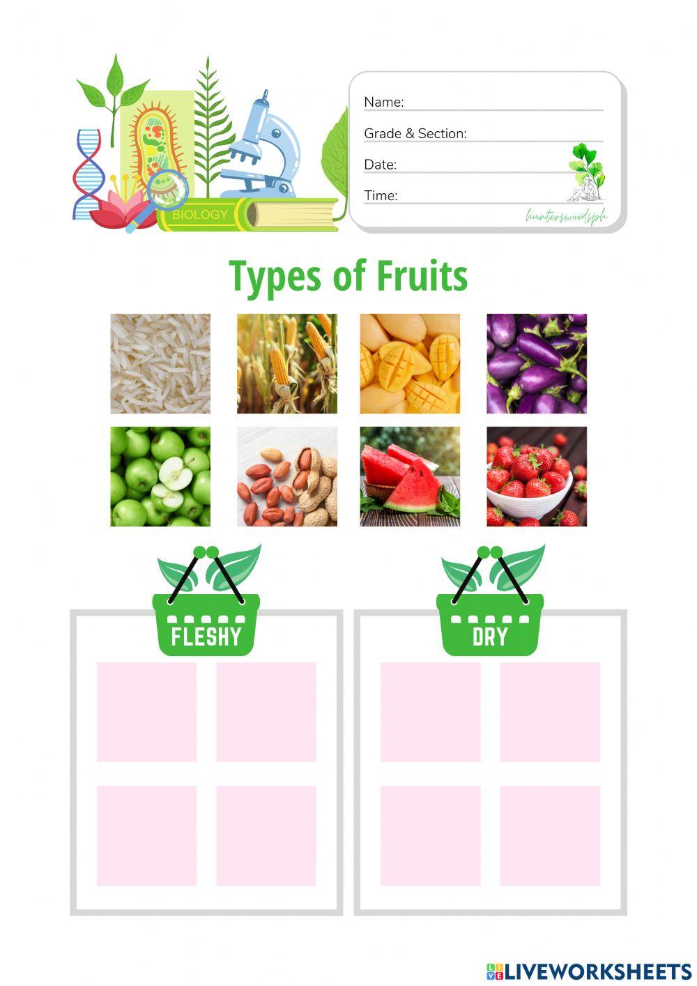 Types of Fruits - HuntersWoodsPH Biology