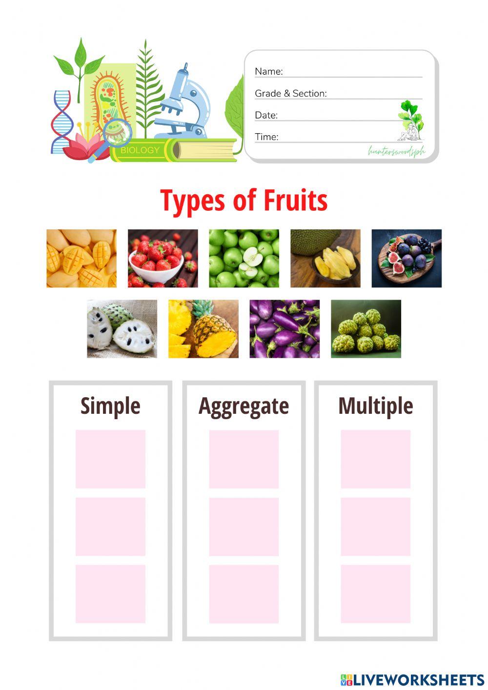 Types of Fruits - HuntersWoodsPH Biology