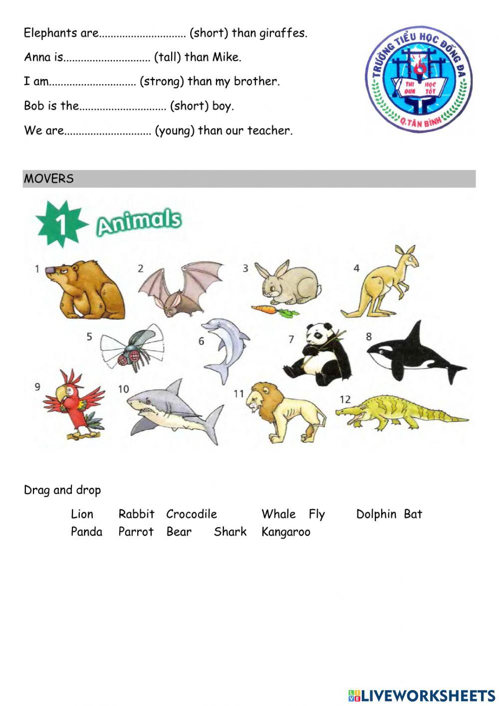 Family and Friends Grade 4 Review Grammar Unit 7, 8, 9