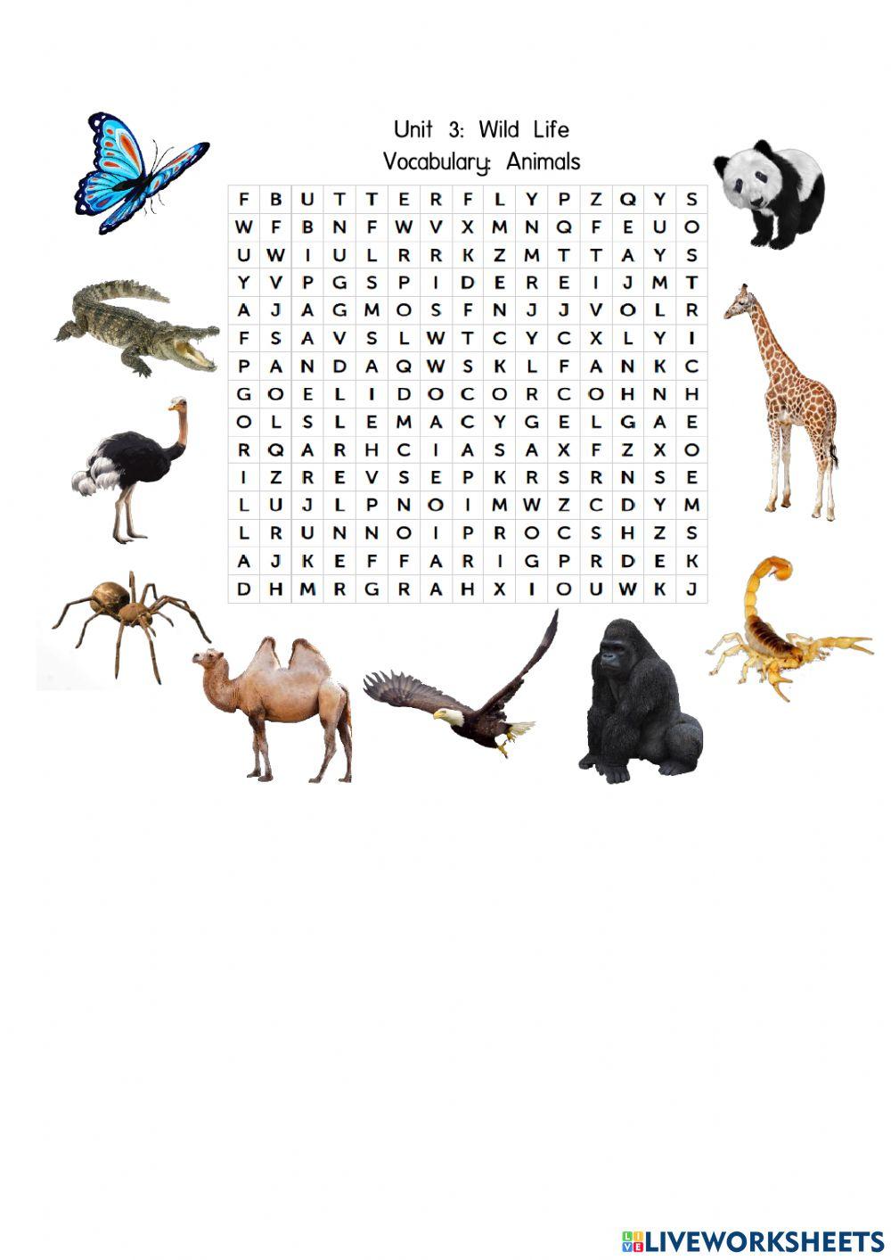 Unit 3 Wild Life: Vocabulary-Animals