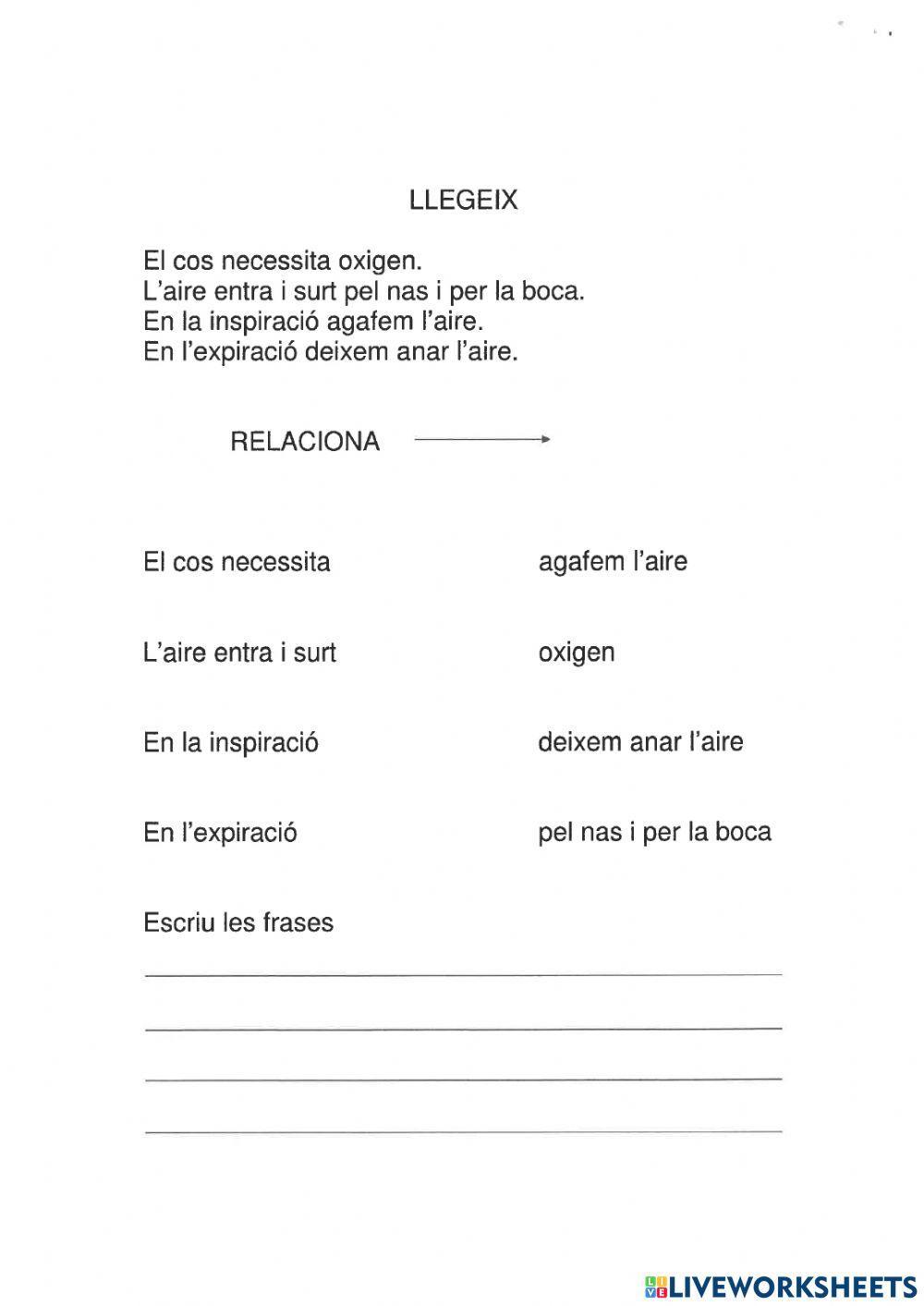 Aparell respiratori - 2