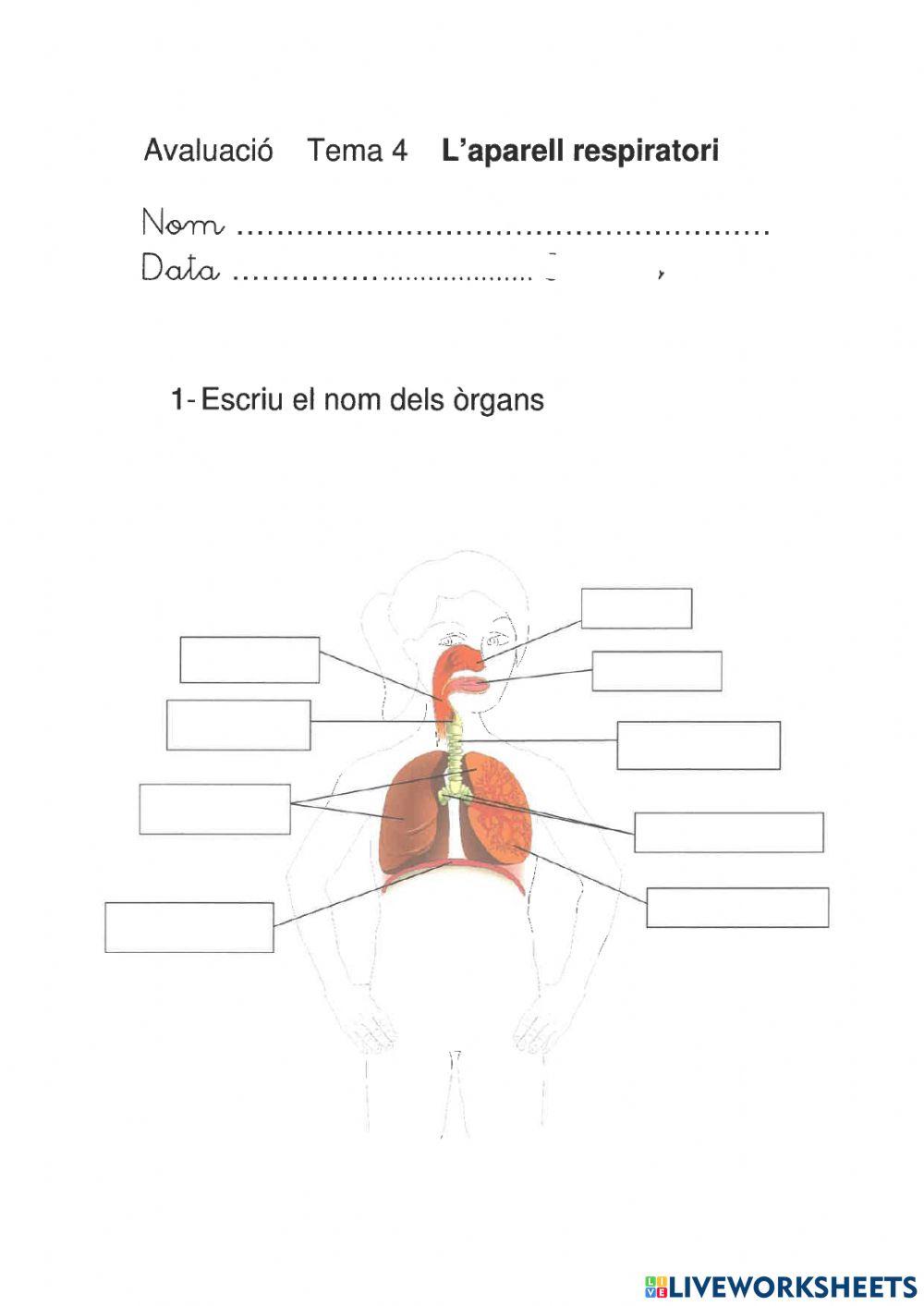 Aperell respiratori repas