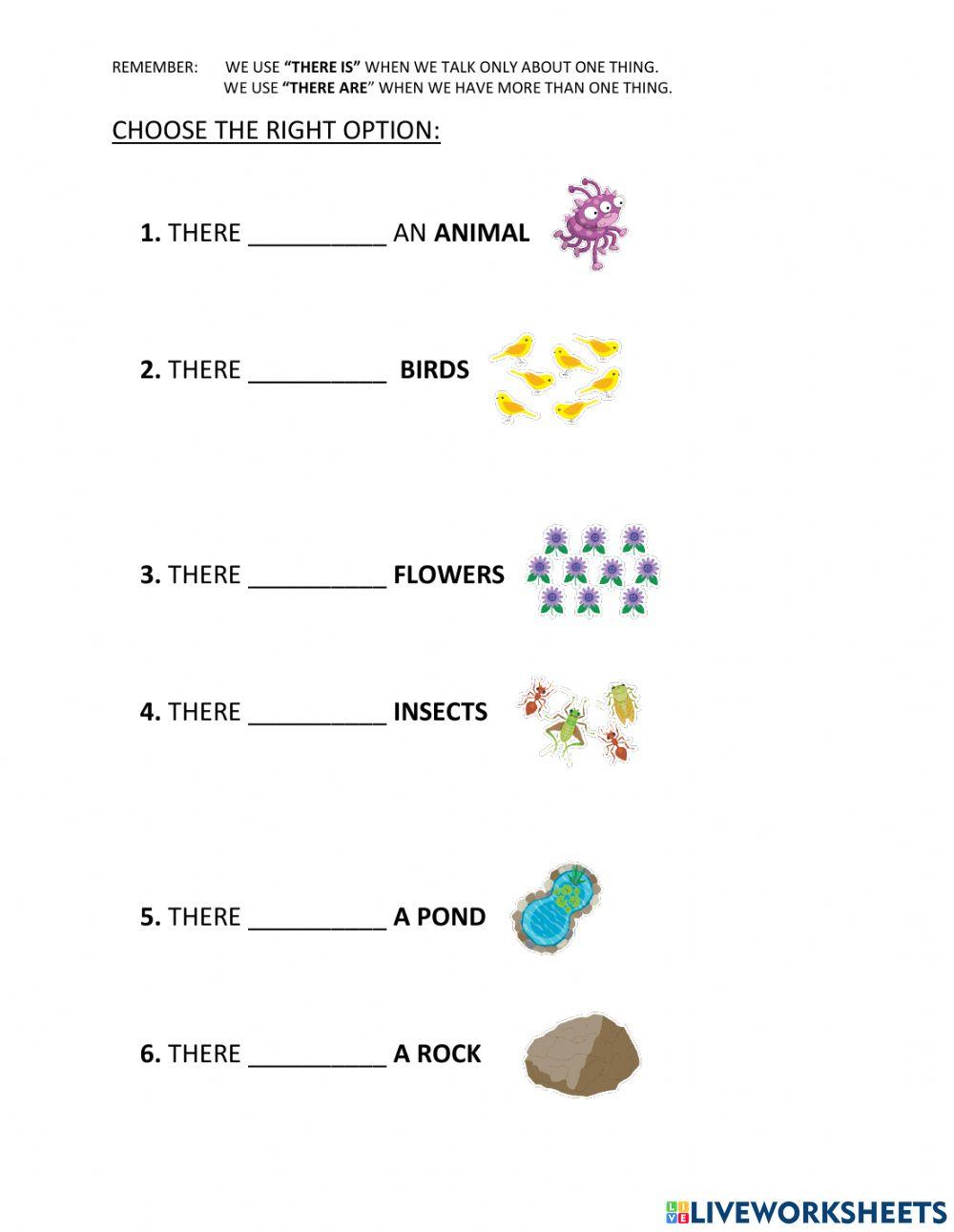 There is - there are