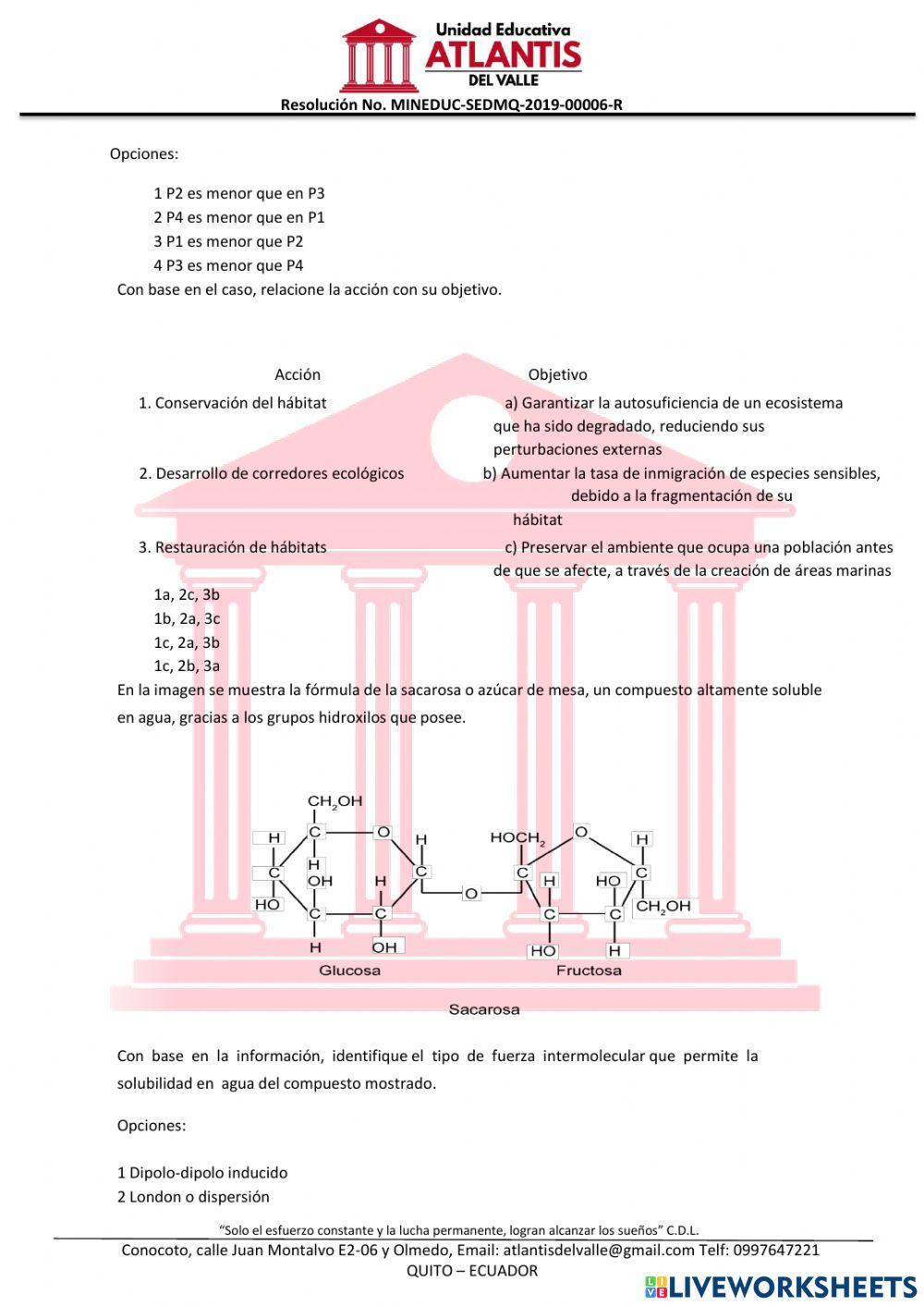 Dominicio científico UCE4