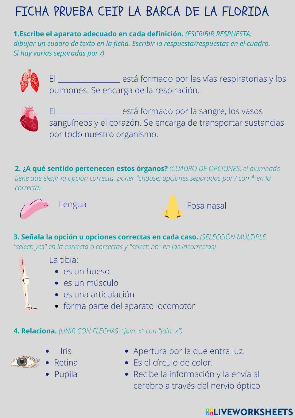 Los sentidos y el aparato locomotor