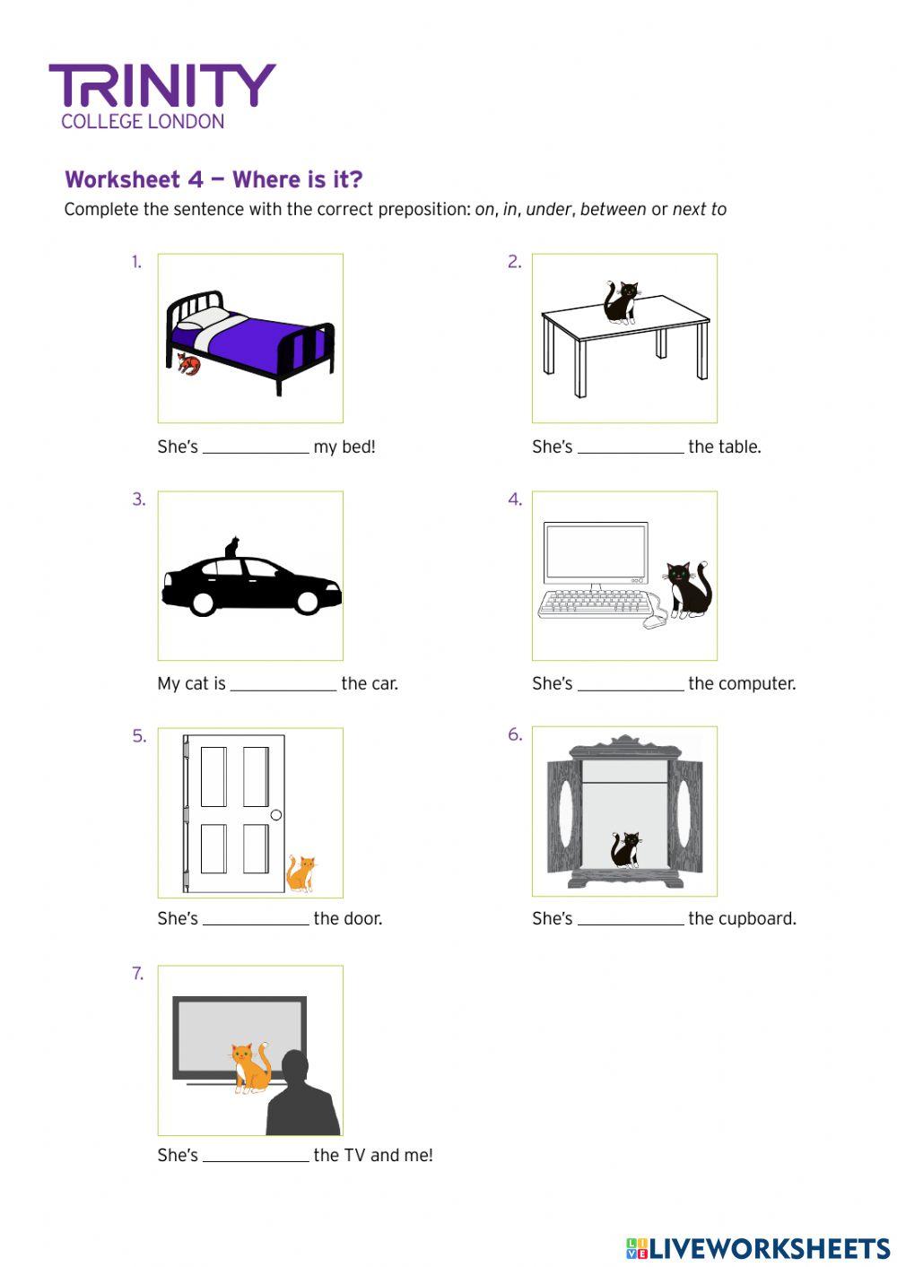 Place Preposition with pets and hosuehold objects