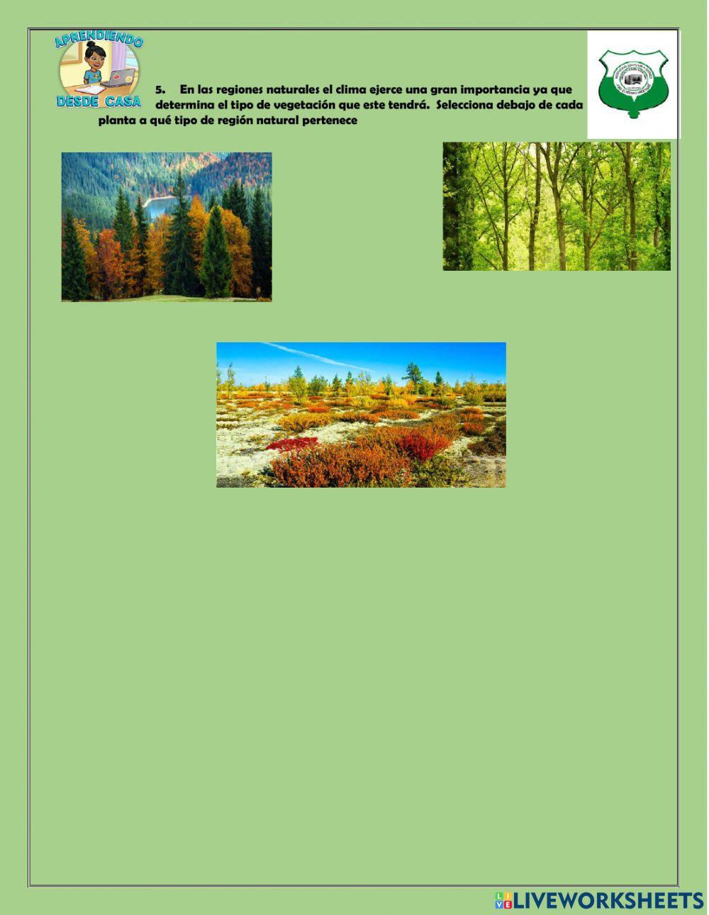 Regiones naturales del mundo