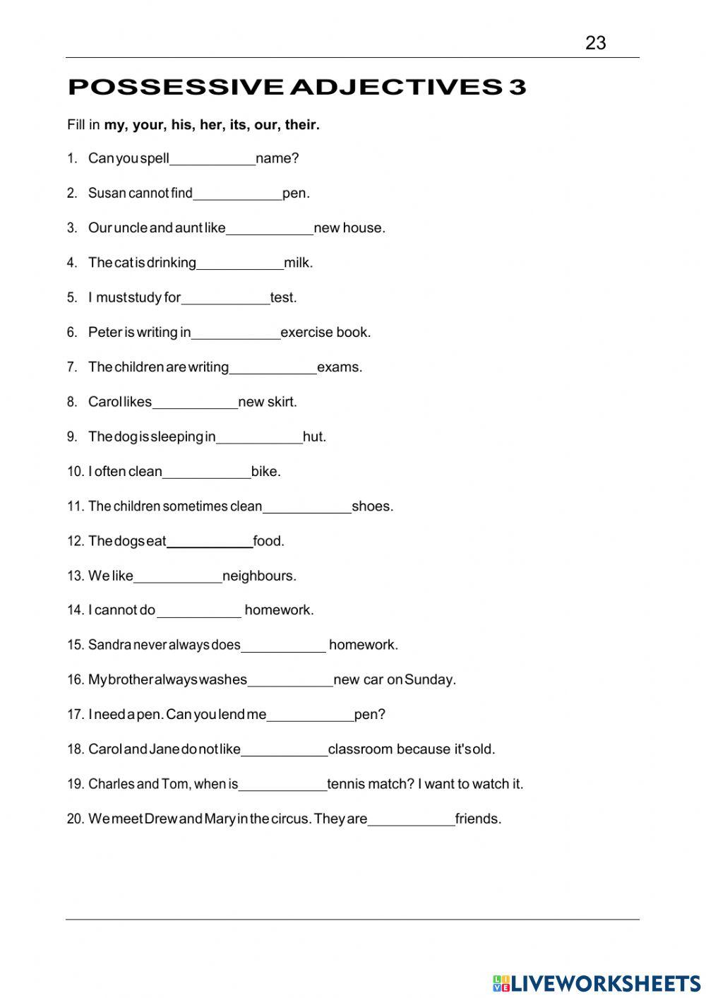 Possessiveadjectives 3