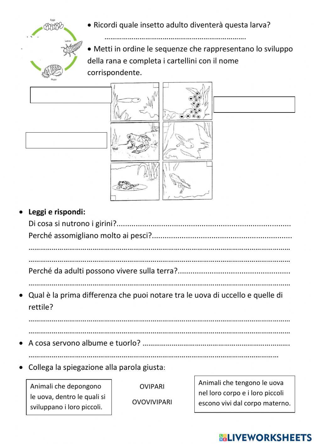 La riproduzione degli animali
