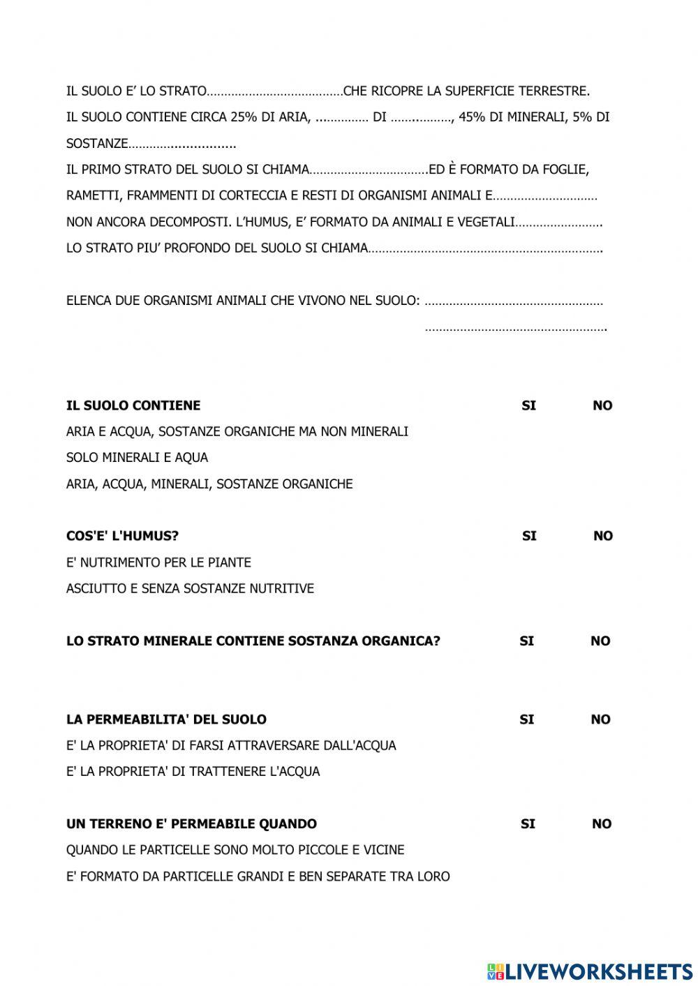 Il suolo interactive worksheet live worksheets