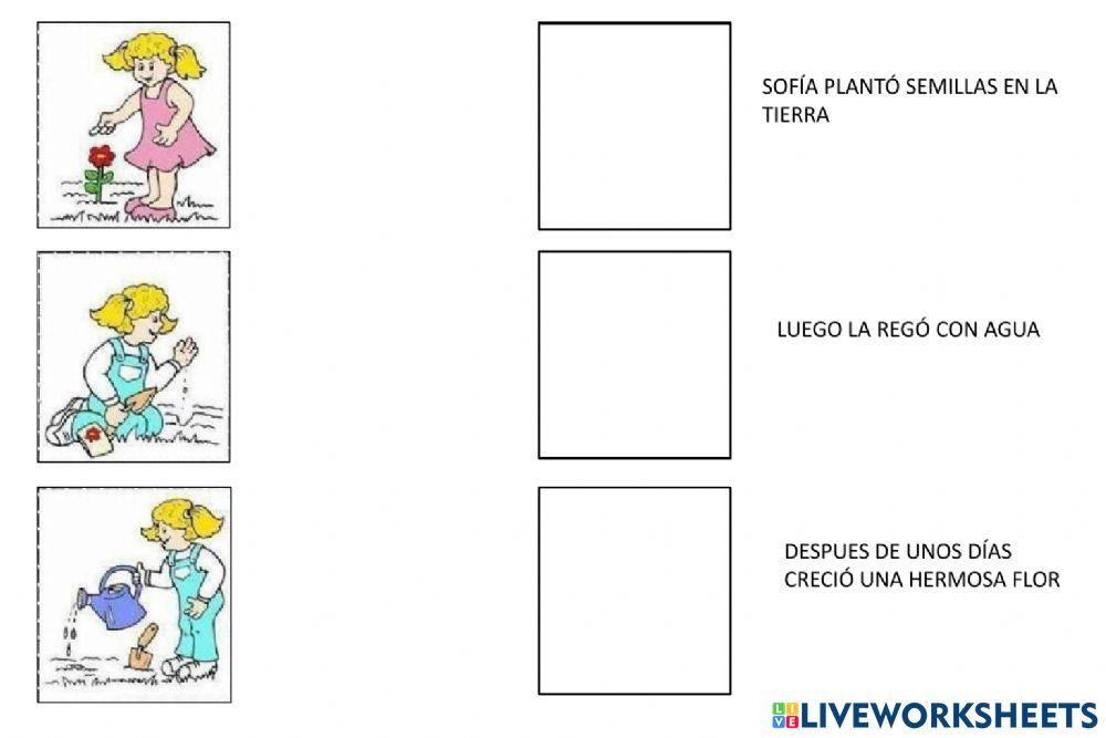 Secuencia y seriación