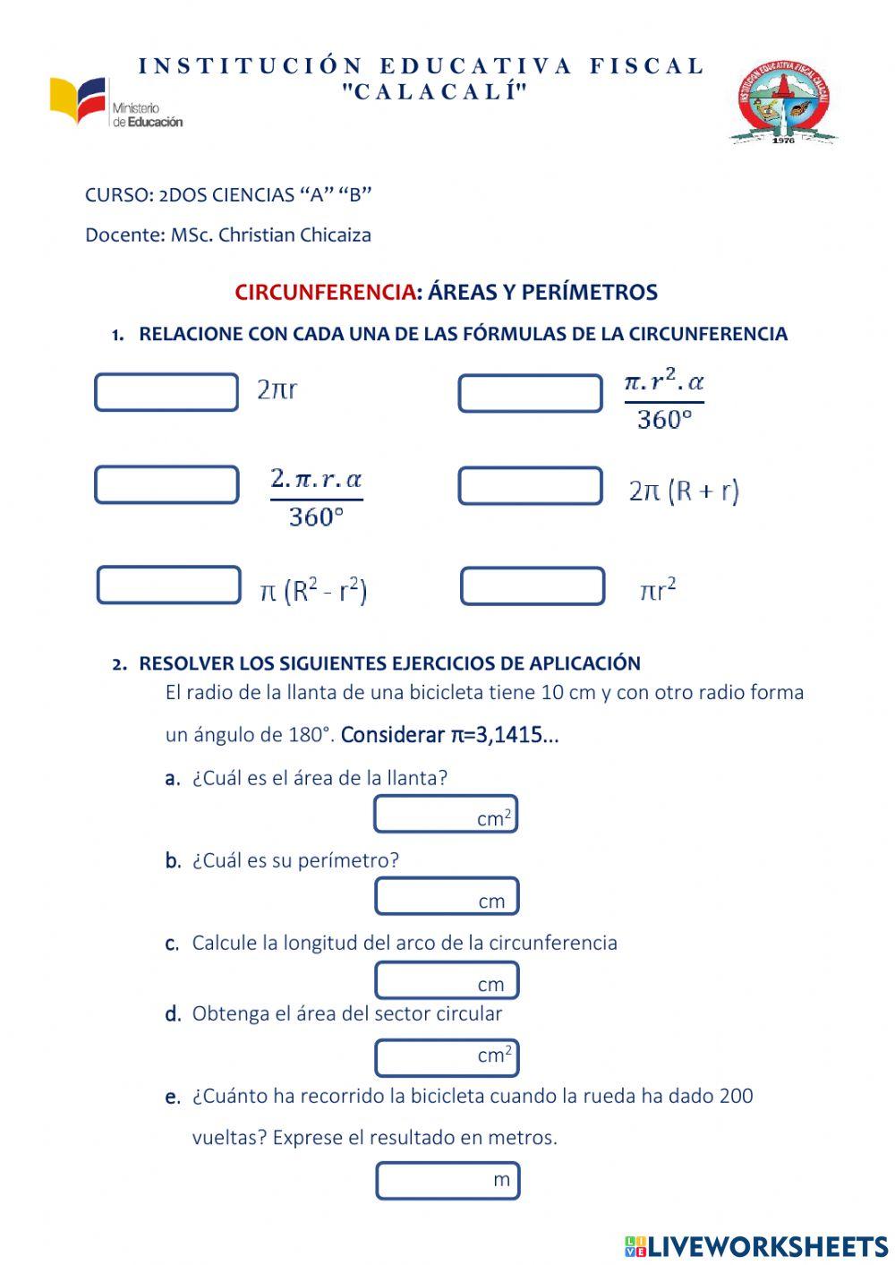 Circunferencia: área y perímetros
